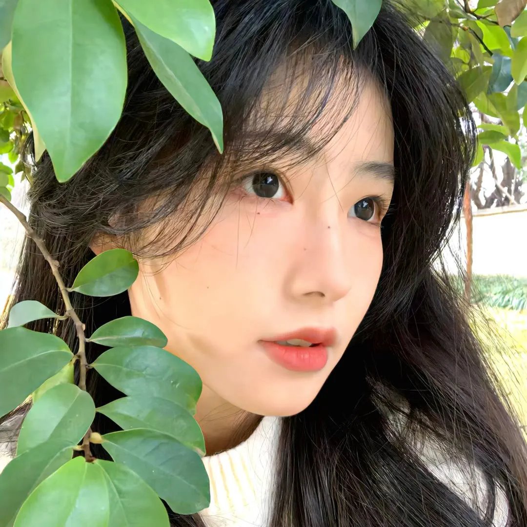 真爱如血第一季